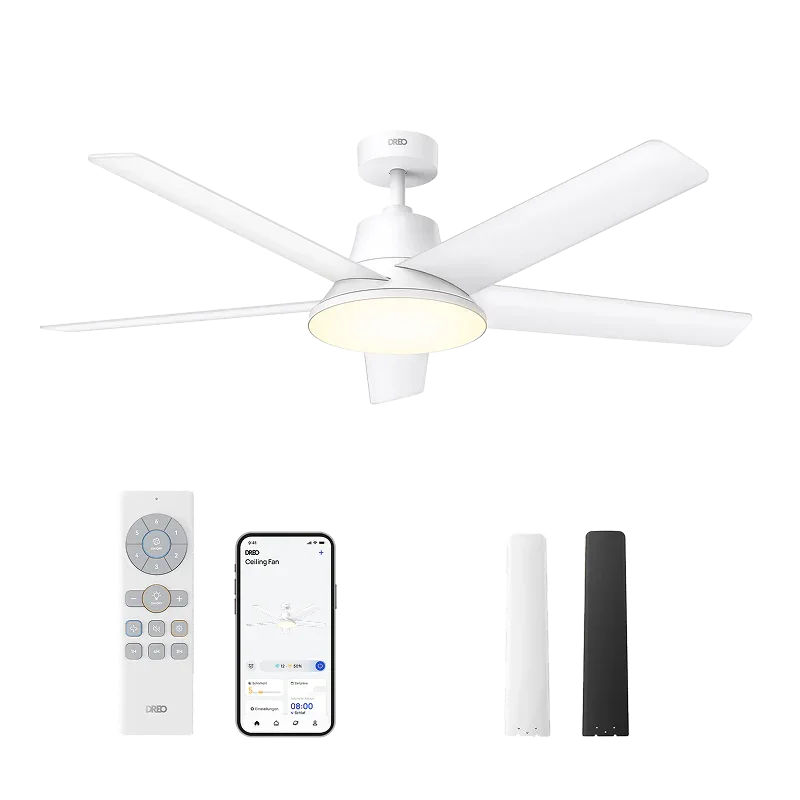 Deckenventilator CLF521