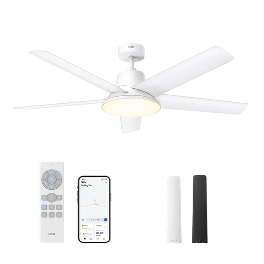 Deckenventilator CLF521